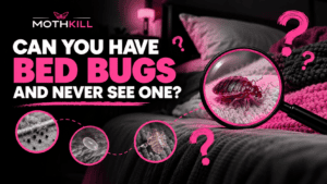 Can you have bed bugs and never see one? Hidden bed bug on a bed with signs of an infestation