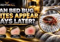 Can bed bug bites appear days later? Illustration showing a delayed skin reaction after a bed bug bite